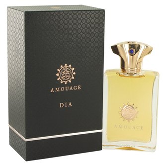 Купить Amouage Dia Man edt 100 ml. мужской ( ТЕСТЕР ) в Украине