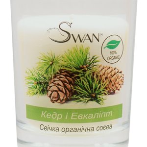 Купить Органічна соєва свічка "Кедр і Евкаліпт"(200г) в Украине