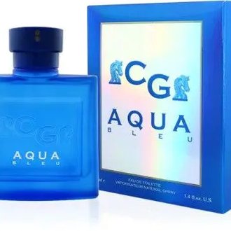 Купить Christian Gautier Aqua Bleu edt 100 ml. чоловічий в Украине