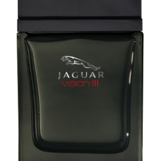 Купить Jaguar Vision III edt 100 ml. мужской ( ТЕСТЕР ) ( БЕЗ УПАКОВКИ ) ( СТОК НЕДОЛИВ ) ( ОСТАТОК 90 % ) в Украине