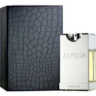 Купить Alyson Oldoini Chocman Mint edp 100 ml. чоловічий в Украине