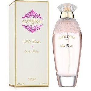 Купить E. Coudray Givrine edt 100 ml. жіночий ( ТЕСТЕР ) в Украине