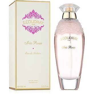 Купить E. Coudray Givrine edt 100 ml. жіночий ( ТЕСТЕР ) в Украине