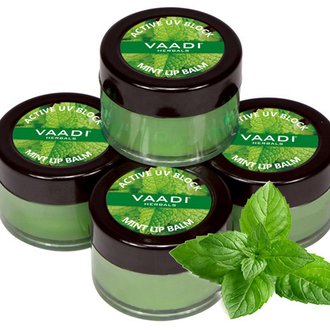 Купить Бальзам для губ з м'ятою Vaadi Herbals Mint lip Balm в Украине