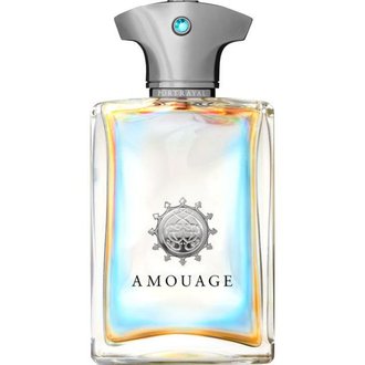 Купить Amouage Portrayal Man edp 100 ml. чоловічий ( ТЕСТЕР ) в Украине