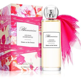Купить Blumarine Cheers On The Terrace edt 100 ml. женский ( ТЕСТЕР ) в Украине