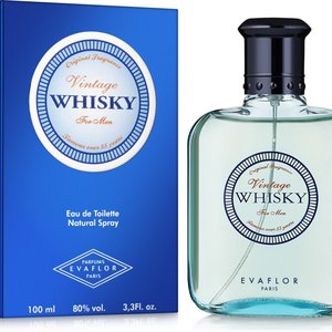Купить Evaflor Whisky Vintage edt 100 ml. чоловічий в Украине