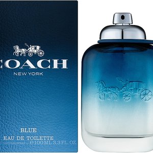 Купить Coach Blue edt 100 ml. чоловічий ( ТЕСТЕР ) в Украине