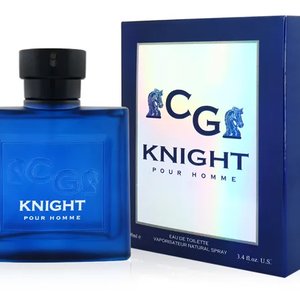 Купить Christian Gautier Knight edt 100 ml. чоловічий ( ТЕСТЕР ) в Украине